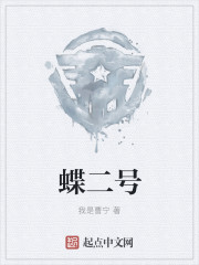 蝶二號 小說封面